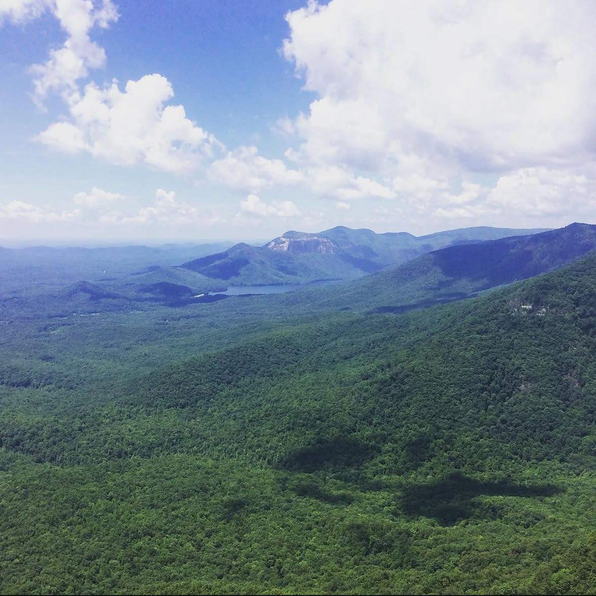 Southeastern outdoor landscape